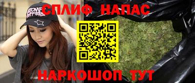 стаф Тара
