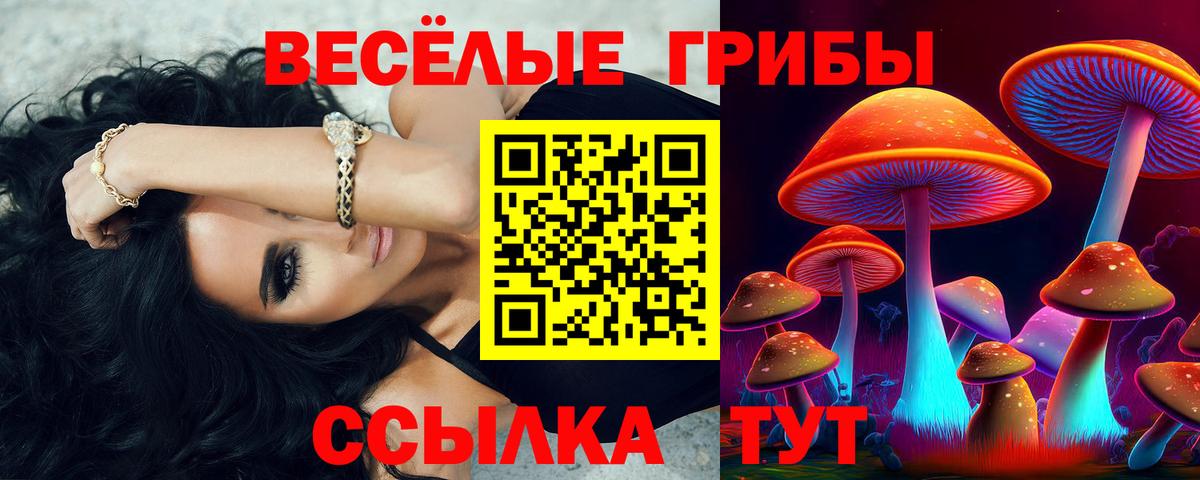 Мыски  Галлюциногенные грибы ЛСД  Вход с VPN 